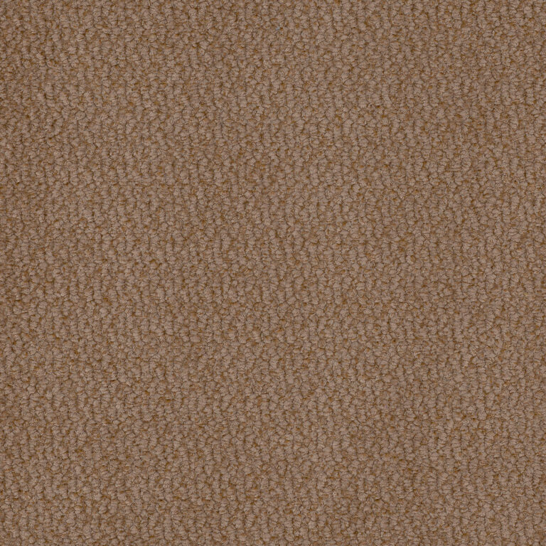 VINCI 38