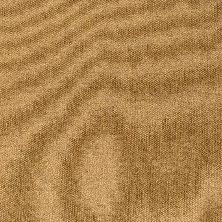 NEXI 66